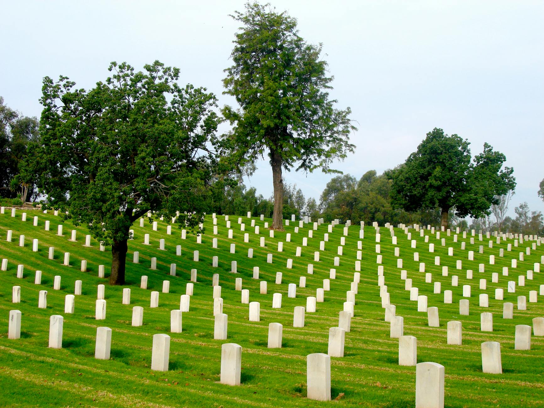 Miramar National Cemetery Unveils New Memorial Amphitheater for Honoring Veterans